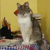 Отзыв от Дарья Григорьева